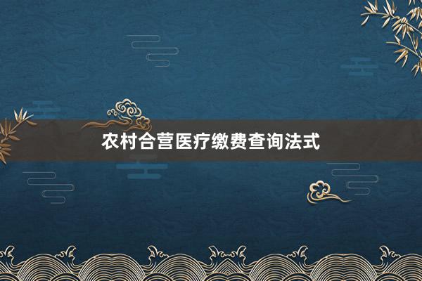 农村合营医疗缴费查询法式