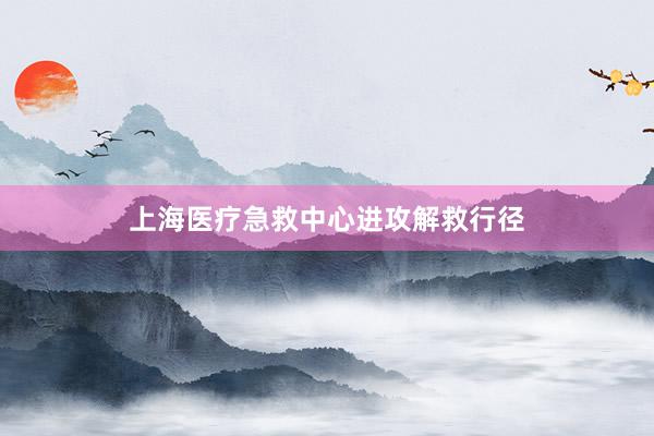 上海医疗急救中心进攻解救行径