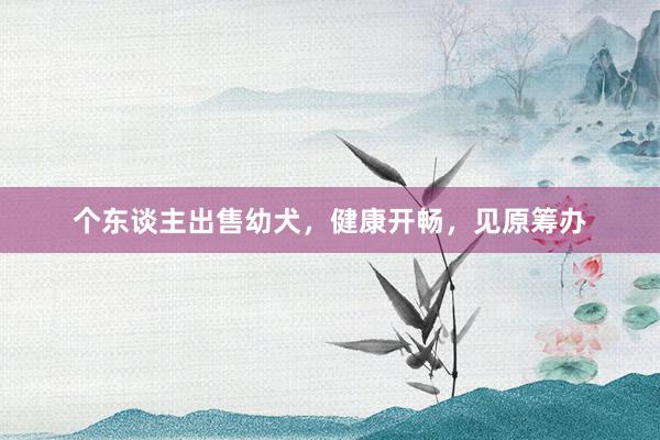 个东谈主出售幼犬，健康开畅，见原筹办