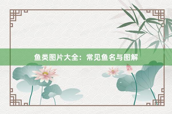 鱼类图片大全：常见鱼名与图解